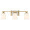 Savoy House 8-6901-3 Darby 3-lt 25" Bathroom Vanity Light