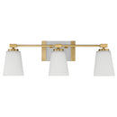 Savoy House 8-6901-3 Darby 3-lt 25" Bathroom Vanity Light