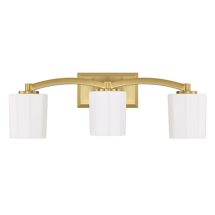 Savoy House 8-7710-3 Whitney 3-lt 24" Bathroom Vanity Light