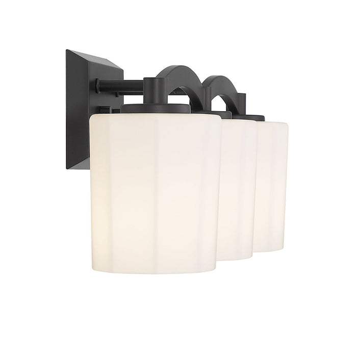 Savoy House 8-7710-3 Whitney 3-lt 24" Bathroom Vanity Light