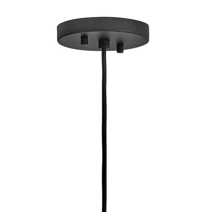 Hinkley 10395 Arlen 1-lt 30" LED Chandelier