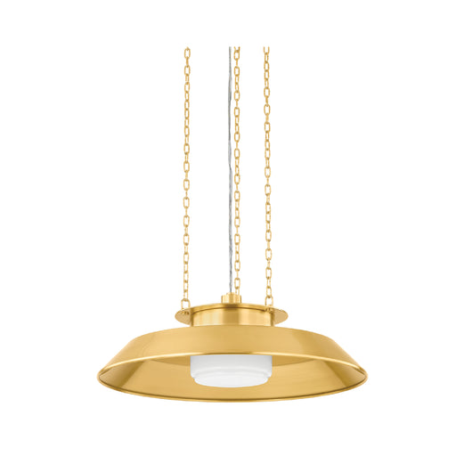 Hudson Valley 8822 Woodrow 1-lt 22" Pendant - Aged Brass