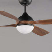 Maxim 88811 Bola 52" Ceiling Fan with LED Light Kit - Black with Walnut Blades