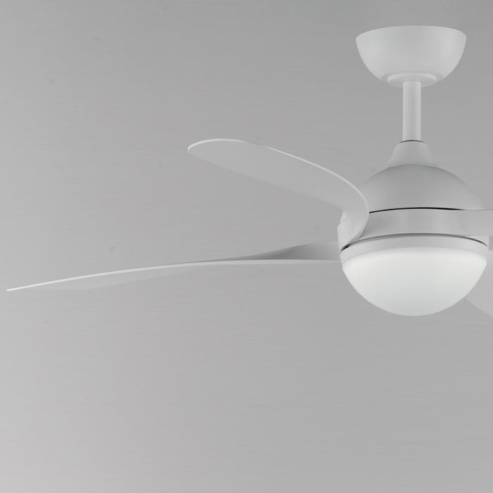 Maxim 88811 Bola 52" Ceiling Fan with LED Light Kit