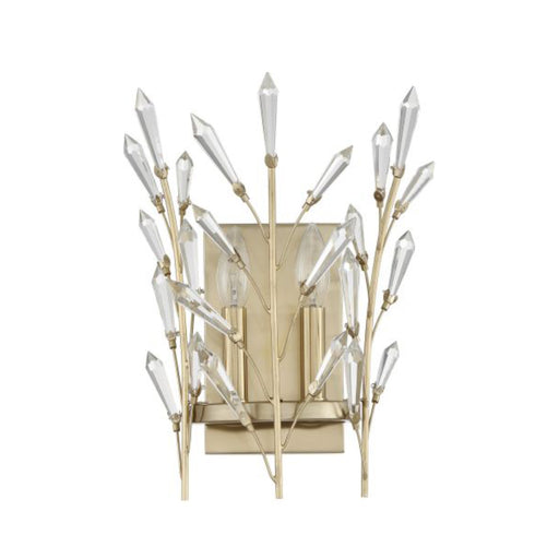 Savoy House 9-4075-2 Orianna 2-lt 14" Tall Wall Sconce