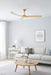 Hinkley 903860F Swell 60" Ceiling Fan