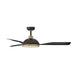 Hinkley 906556F-LDD Alba 56" Indoor/Outdoor Smart Ceiling Fan with LED Light Kit