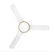Hinkley 906556F-LDD Alba 56" Indoor/Outdoor Smart Ceiling Fan with LED Light Kit