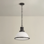 Hudson Valley 9315 Pinesbridge 1-lt 15" Pendant - Distressed Bronze