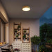 Alteck Lighting AFM0065-5CCT-W Channel 13" LED Outdoor Flush Mount, 5CCT Selectable - Painted Brass