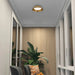 Alteck Lighting AFM0066-5CCT-W Pez 1-lt 11" LED Outdoor Flush Mount, 5CCT Selectable - Painted Brass