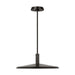 Visual Comfort AKPD682 Saucer Direct 1-lt 18" LED Pendant - Bronze/Darkened Brass
