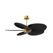 Matthews Fan Atlas Alessandra Tropical 48" Indoor/Outdoor Ceiling Fan - Brushed Brass/Matte Black