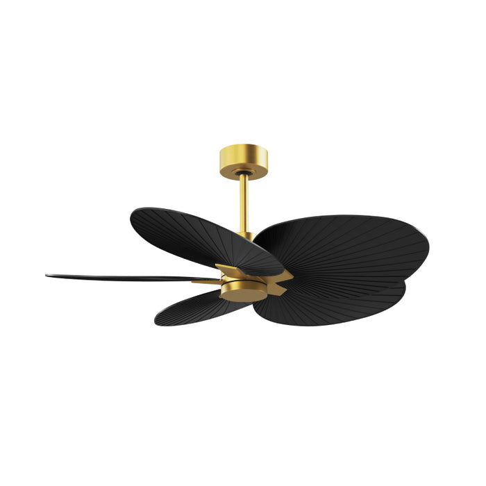 Matthews Fan Atlas Alessandra Tropical 48" Indoor/Outdoor Ceiling Fan - Brushed Brass/Matte Black
