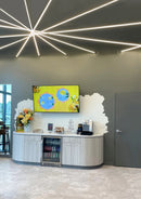 Lazer Line Lighting System Slim Turnbuckle DIY Suspended LED Lighting System, 24VDC Remote Power Supply