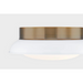 Troy C2014 Arnie 2-lt 14" Flush Mount - Patina Brass