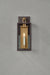 Troy B6520 Arnold 1-lt 20" Tall Outdoor Wall Sconce