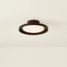 Troy C3115 Cannes 1-lt 15" LED Outdoor Flush Mount