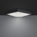 Schonbek Beyond BFM46512 Wisteria 1-lt 12" LED Flush Mount, CCT Selectable - Black