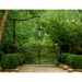 Hinkley 2592-LV Max 1-lt 17" LED Outdoor Hanging Lantern