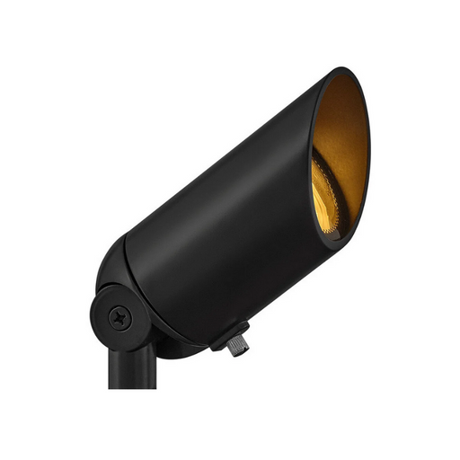 Hinkley 1536 12V LED Spot Light - Brass Satin Black