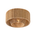 Troy C1216 Coe 1-lt 16" Flush Mount
