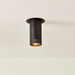 Troy C1505 Berg 1-lt 5" Flush Mount
