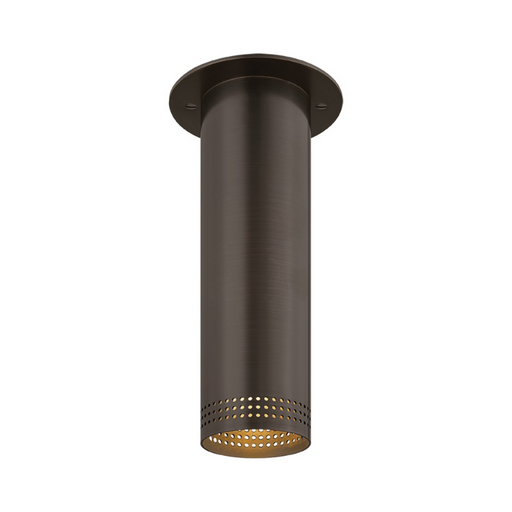Troy C1507 Berg 1-lt 5" Flush Mount - Bronze