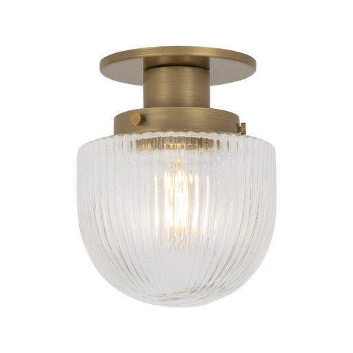 Troy C1606 Jar 1-lt 6" Flush Mount