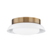 Troy C2014 Arnie 2-lt 14" Flush Mount - Patina Brass/White