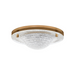 Troy C2714 Halston 1-lt 14" LED Flush Mount