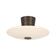 Troy C5016 Albus 1-lt 16" LED Semi Flush Mount
