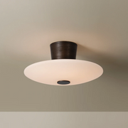 Troy C5016 Albus 1-lt 16" LED Semi Flush Mount