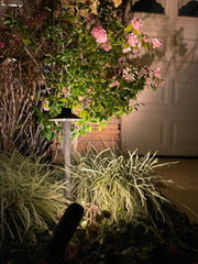 SPJ SPJ-402 20" Tall LED Outdoor Path Light