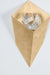 Corbett 467-01 Conch 1-lt 17" Tall LED Wall Sconce