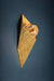 Corbett 467-01 Conch 1-lt 17" Tall LED Wall Sconce