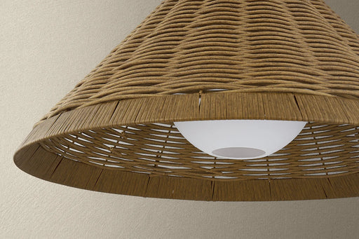 Troy F3328 Devlin 1-lt 28" Outdoor Pendant