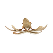 Arteriors DFI07 Farah 8-lt 44" Flush Mount