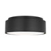 Visual Comfort DJF1042 Dartmore 2-lt 15" Medium Flush Mount - Midnight Black