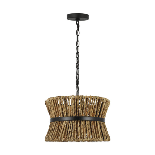 Visual Comfort DJP1052 Thurlo 2-lt 14" Small Pendant - Midnight Black