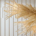 Arteriors DLS15 Kauai 12-lt 52" Chandelier