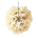 Arteriors DMS04 Winona 8-lt 33" Chandelier