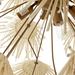 Arteriors DMS04 Winona 8-lt 33" Chandelier