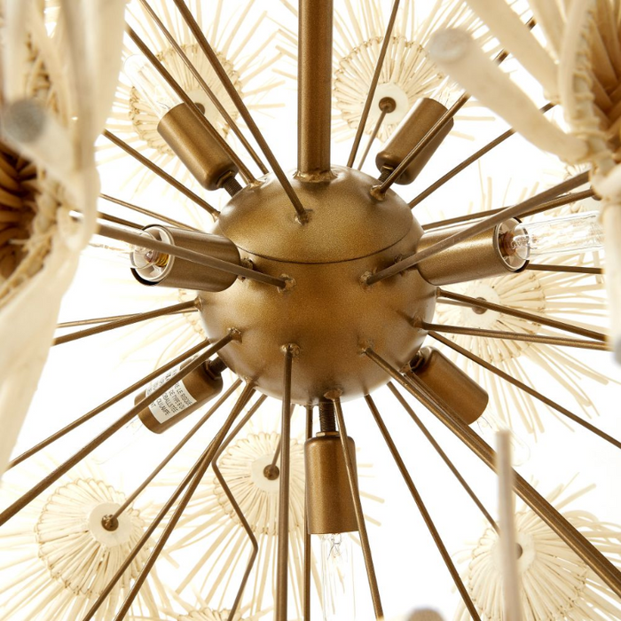 Arteriors DMS04 Winona 8-lt 33" Chandelier