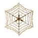 Arteriors DMS22 Josephine 6-lt 30" Chandelier