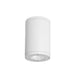 WAC DS-CD0517 Tube Architectural 5" 17W LED Outdoor Ceiling Mount-White
