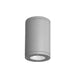 WAC DS-CD0517 Tube Architectural 5" 17W LED Outdoor Ceiling Mount-Graphite