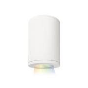 WAC DS-CD05 Tube Architectural 5" 30W LED Color Changing Ceiling Mount - White