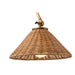 Arteriors DS49016 Padma 1-lt 12" Wall Sconce