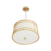Arteriors DW49001 Sea Island 4-lt 21" Pendant